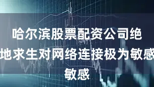 哈尔滨股票配资公司绝地求生对网络连接极为敏感